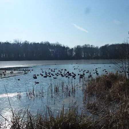 Seeblick Kemnitz Apartament Werder (Havel)