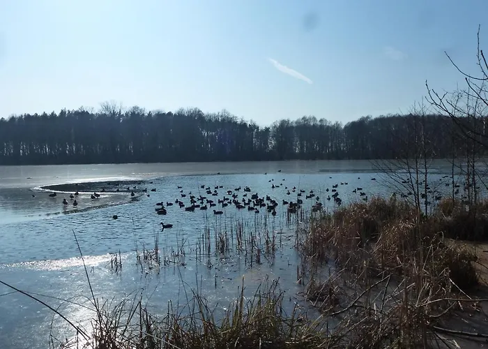 Seeblick Kemnitz Appartement Werder (Havel)